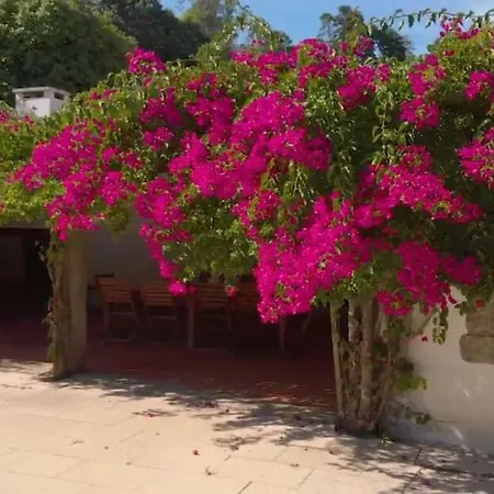 Luxury 12 Bedrooms Private Pool Near Oporto * Santa Maria da Feira