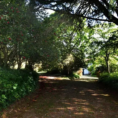 Luxury 12 Bedrooms Private Pool Near Oporto Santa Maria da Feira