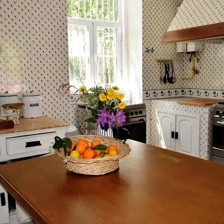 Villa Luxury 12 Bedrooms Private Pool Near Oporto *